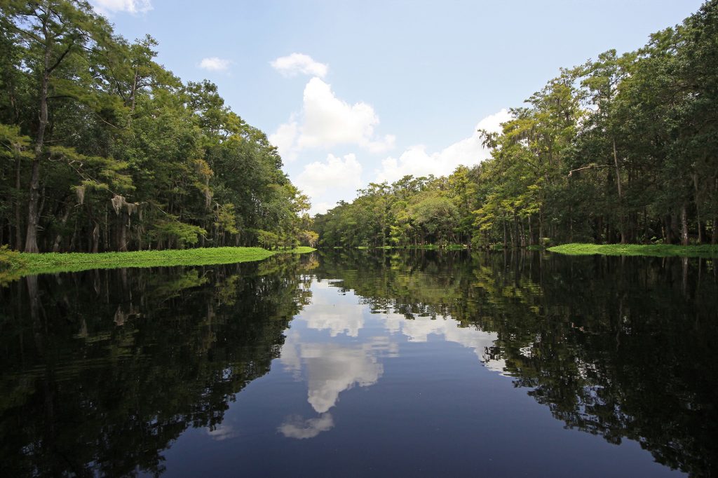 Canal to Lake Okeechobee