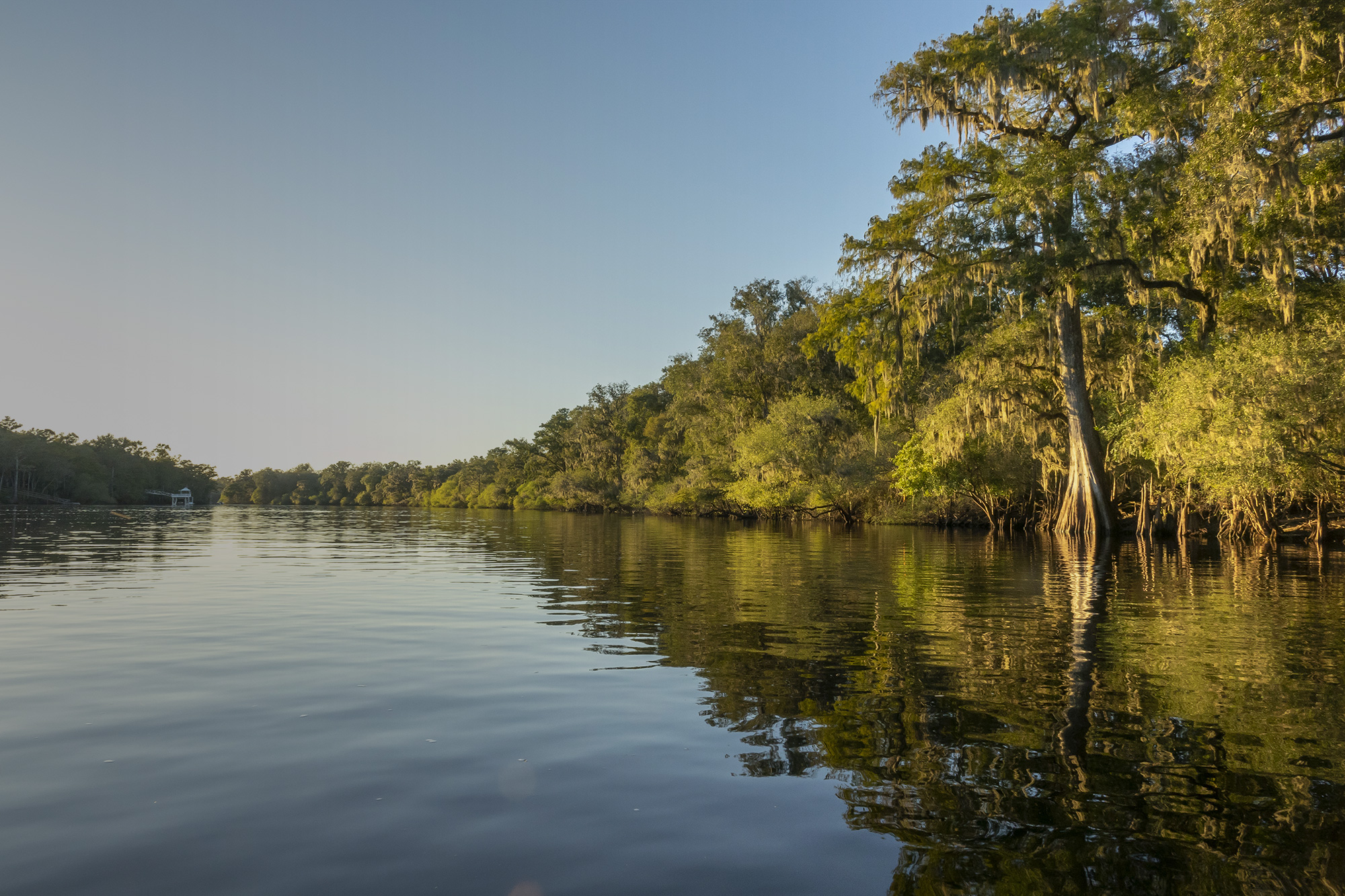 Florida will remain paralyzed with nutrient-contaminated  waters until large-scale chemical treatment is used